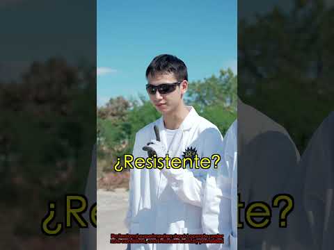 ¿Puede el VIDRIO blindado DETENER un AUTO? #miwuscienceespañol #miwuscience #shorts #ciencia