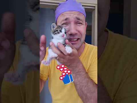 Eve Yavru Kedicik Getirdim Bakın Annem Ne Yaptı