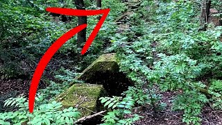 12 Most Strange And Incredible Finds In The Forest