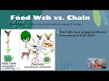 Exploring Food Chains and Food Webs