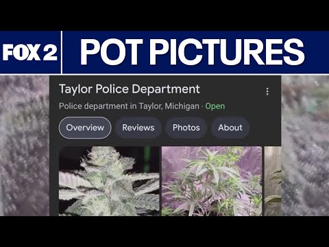 Photos of weed pop up in Taylor police Google search
