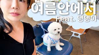 2025 여름 너무 덥다..🥵 건강한 여름나기🌊 일상 브이로그