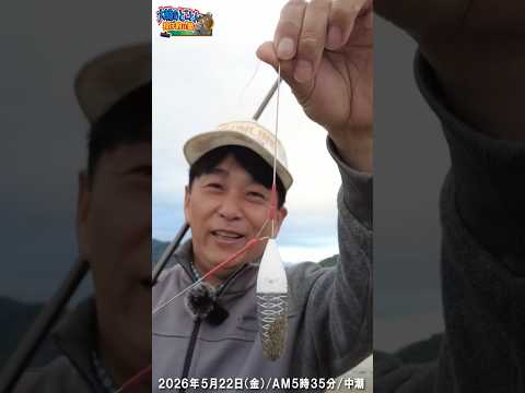 【由良川・キス釣り】力不要・軽〜く振るだけ‼︎ めちゃ飛び改造デルナー30号【大輔のとことん投げ釣り塾】 #投げ釣り #キス釣り #舞鶴市