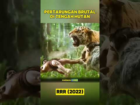 Pertarungan Brutal di Tengah Hutan #film #movie #komentarfilm