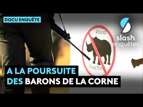 Les barons de la corne : le trafic qui déchire l’Afrique du Sud - Documentaire complet
