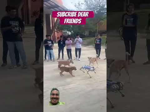 Roboticprank # shorts #dog #roboticdog #doglover # trending # viralvideo #pets #robot #dogtraining