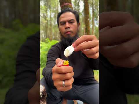 How To Make A DIY Stove #camping #survival #bushcraft #outdoors