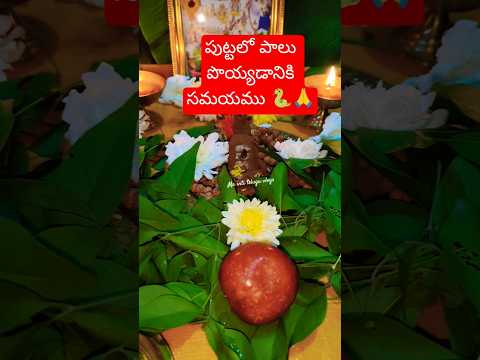పుట్టలో పాలు పొయ్యడానికి సమయము 🙏🐍 #chaganti #trending #viral #ytshorts #chavithi #nagulachavithi