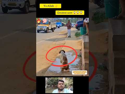 Ya Allah โ๏ธ Greatest save ๐ฑ๐ฑ๐ฑ๐ฑ #shorts #status #short #respect