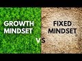 Exploring Growth and Fixed Mindset Concepts