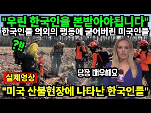 "우린 한국인을 본받아야됩니다" 한국인들 의외의 행동에 굳어버린 미국인들 "미국 산불현장에 나타난 한국인들"