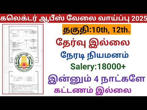 கலெக்டர் ஆபீஸ் வேலை வாய்ப்பு 2025  |government jobs 2025 in tamilnadu|arasuvelai vaippu 2025