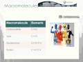 Exploring Biochemistry and Water Concepts