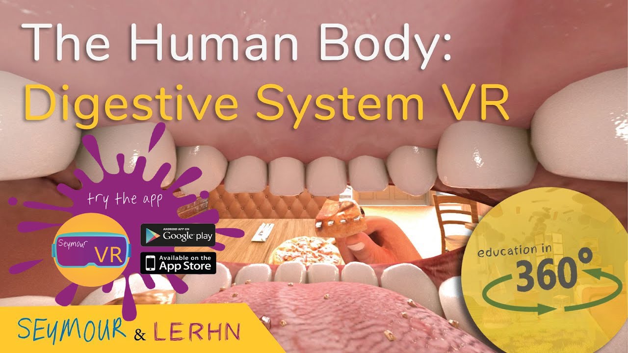 Digestive System Virtual Lab: Discovering the Inner Workings of Your Body