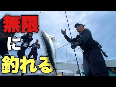 釣れすぎ注意！サバ乱舞で全員ヒット船中大騒ぎ！！【OceanDream】【釣りジャック】【現場の杉浦です！！！】