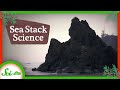 Sea Stacks and Coastal Geology