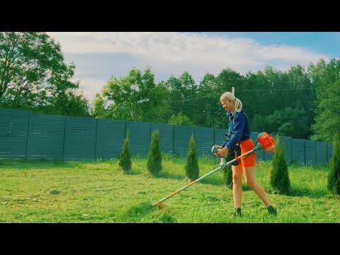Покос травы,кстати с защитой косить хорошо ,чистая хоть не зелёная😹😹😹