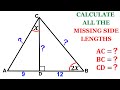 Triangle Properties and Angle Relationships