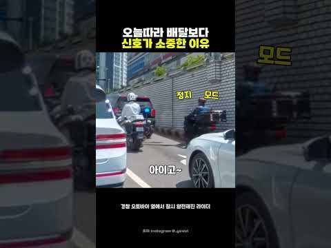 <strong>오늘따라</strong> 배달보다 신호가 소중한 이유