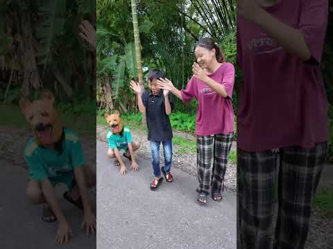 Con chó tài năng được nhận nuôi - Talented dog adopted #shorts