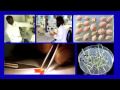 Seed Bank Project and Plant Importance