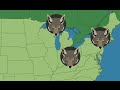 Exploring Urban Ecology and Biodiversity