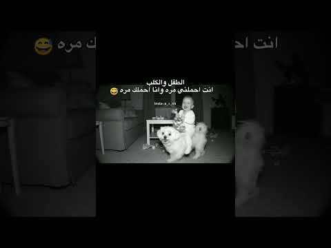 احملني مره وانا احملك مره😅    #اكسبلور #متابعة#لايك#ريلز #حالات_واتس#إقتباسات#حزين
