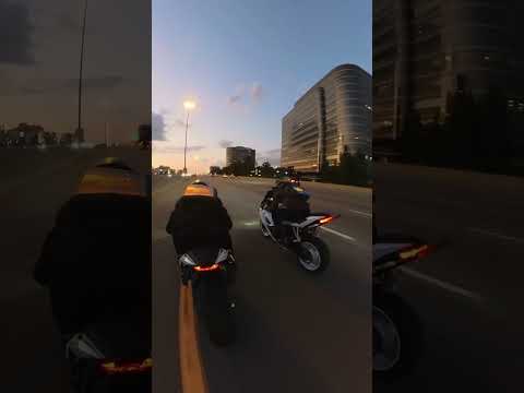 Bro came outta nowhere #motorcycle #nyancat #bikelife #motorcyclelife #zx6r #biker #haloween
