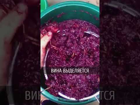 Два человека погибли от винного отравления в Молдове