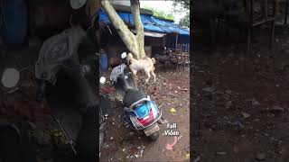 Indien Part 2 - In die Slums #Indien #Slums #Auswandern #mumbai