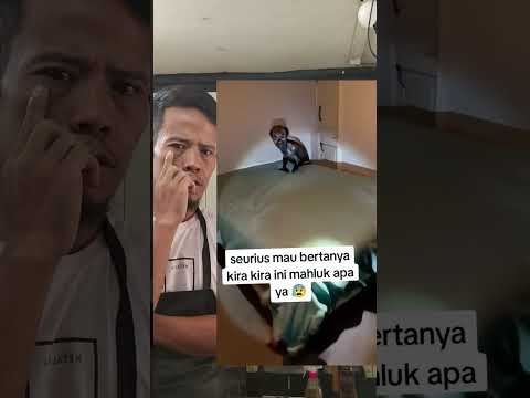 Beginilah kondisi rumah yang di tinggal pemilik nya#shorts