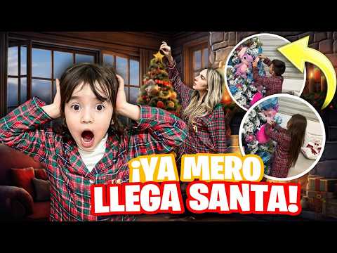 ADORNAMOS el PINO DE NAVIDAD 😍 | VEAN la TEMATICA quedo HERMOSO | Los Molina