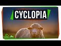 Understanding Cyclopia and Its Implications