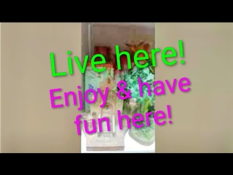 #300. Live here! Enjoy and have fun here! #live #livestream