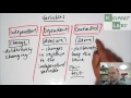 Understanding Variables in Experiments