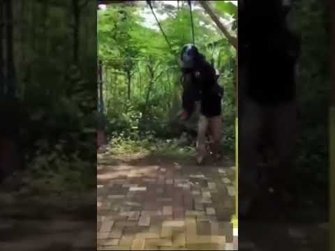 Funny Video #funny #comedy #viral #funnyshorts #youtubeshorts #youtube #shortsyoutube #shortvideo