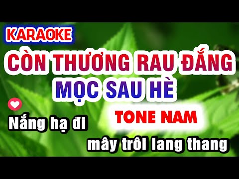 Karaoke CÒN THƯƠNG RAU ĐẮNG MỌC SAU HÈ  tone nam Nhạc Sống KLA | Karaoke Organ 9669