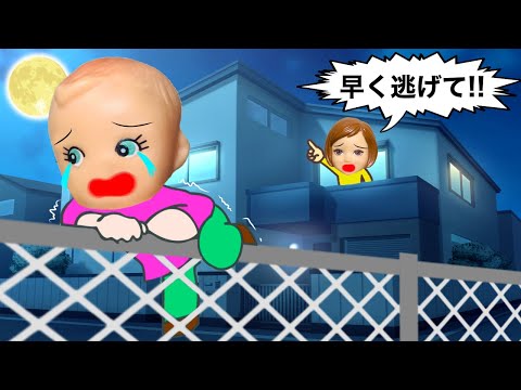 【早く家から出て！】おうちの中にいる方が危険⁉️サリーを逃す理由とは…？