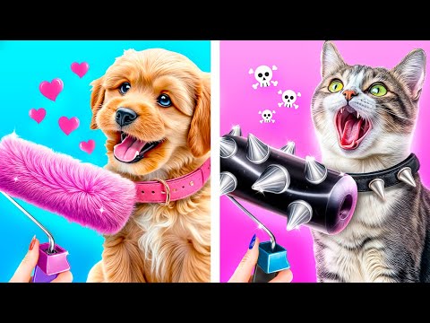 Cachorro Bom vs Gato Mau! Como Fazer Casas para Animais de Estimação!