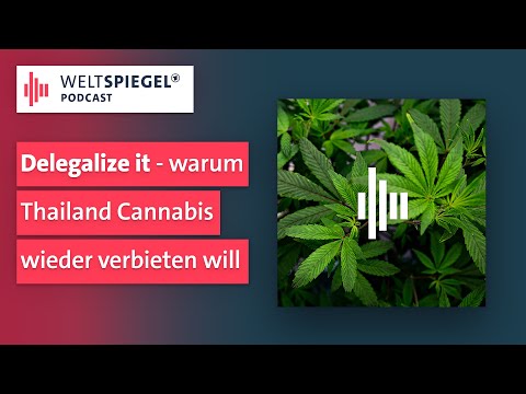 Warum Thailand Cannabis wieder verbieten will