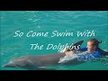 Dolphin Video of a couples dolphin swim