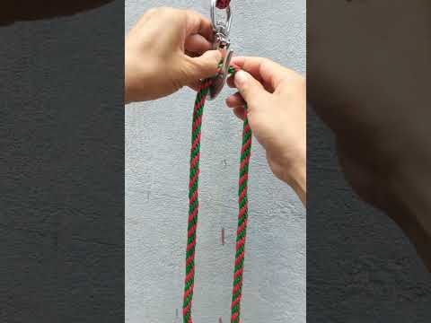 a common loop knot in master knots. #knots #shorts