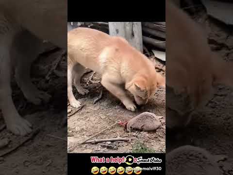 ???????????