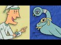 Pigeon Behavior and Sleep Preferences