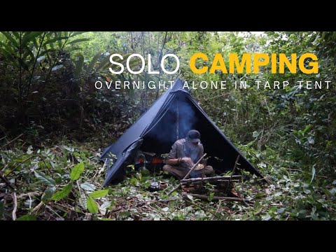 SOLO CAMPING TARP TENT, Wildfire Cooking, Wildlife - ASMR