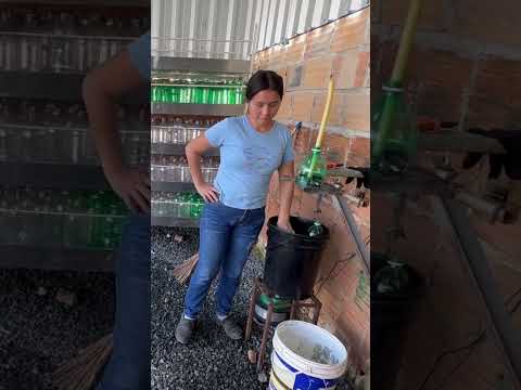 Reaproveitando garrafa pet