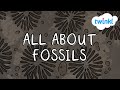 Paleontology Concepts and Fossil Studies