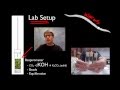 Exploring Cellular Respiration in AP Biology
