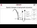 Plant Growth and Ecology Concepts
