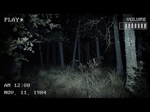 조금이라도 소리를 내면 죽는 숲에 들어가기 (공포게임/The Silent Witness)